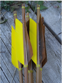Bamboo Arrows
