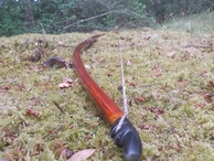 Recurved Longbow