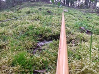 Longbow ​Laminate Bamboo & Yew