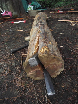 Pacific Yew Wood splitting