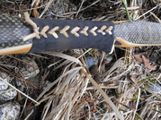 Snakeskin Bow