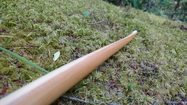 Longbow Selfbow ​Pacific Yew​​​​